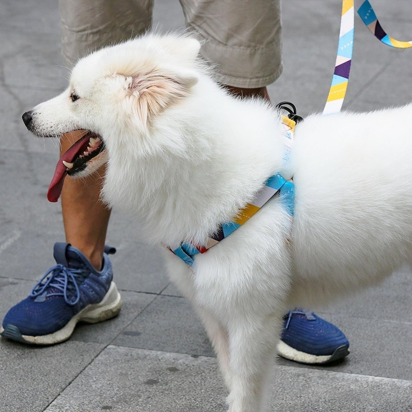 Arnés Para Perro Mediano