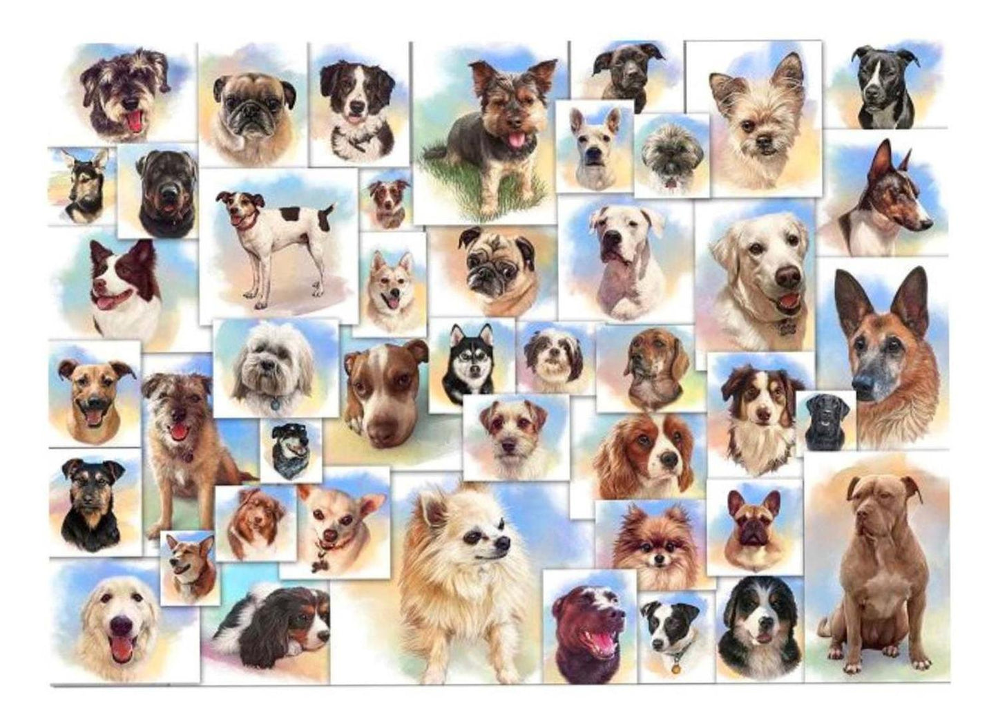 Puzzle Rompecabezas Mundo De Perros