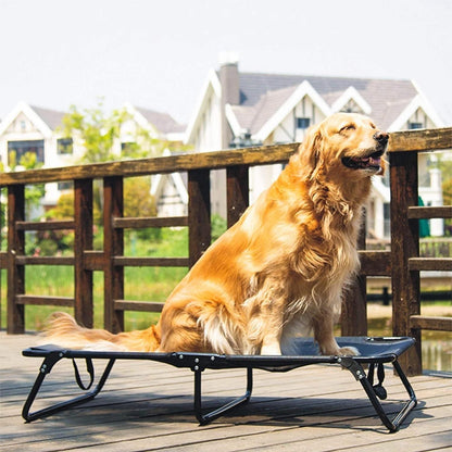 Cama Elevada Pequeña Impermeable Para Perros, Cama Plegable.