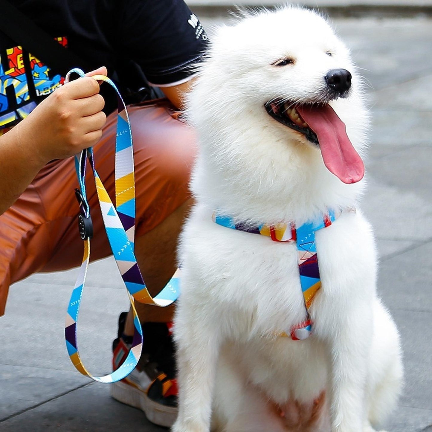 Arnés Para Perro Mediano