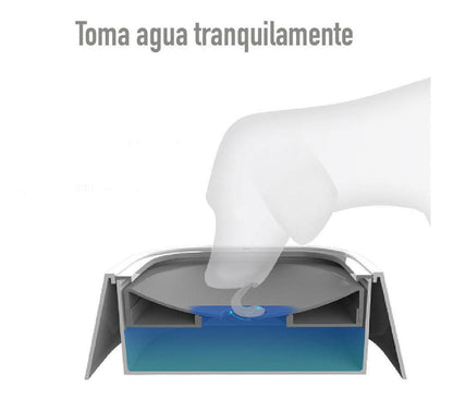 Fuente agua antisalpicaduras - Plato comedero Lento